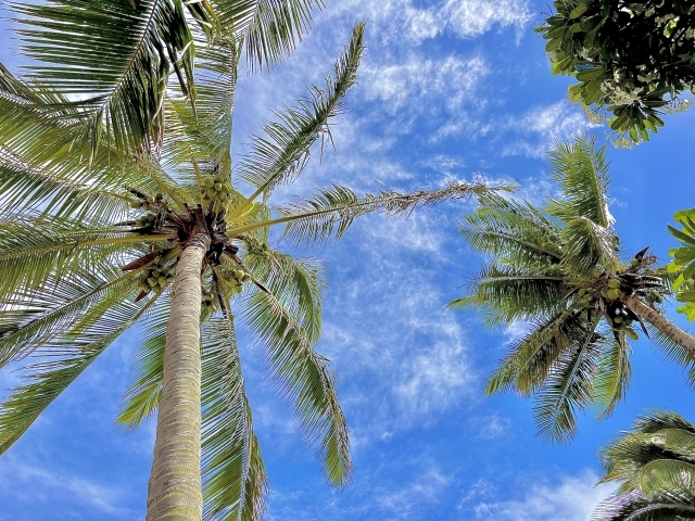 ご利用について